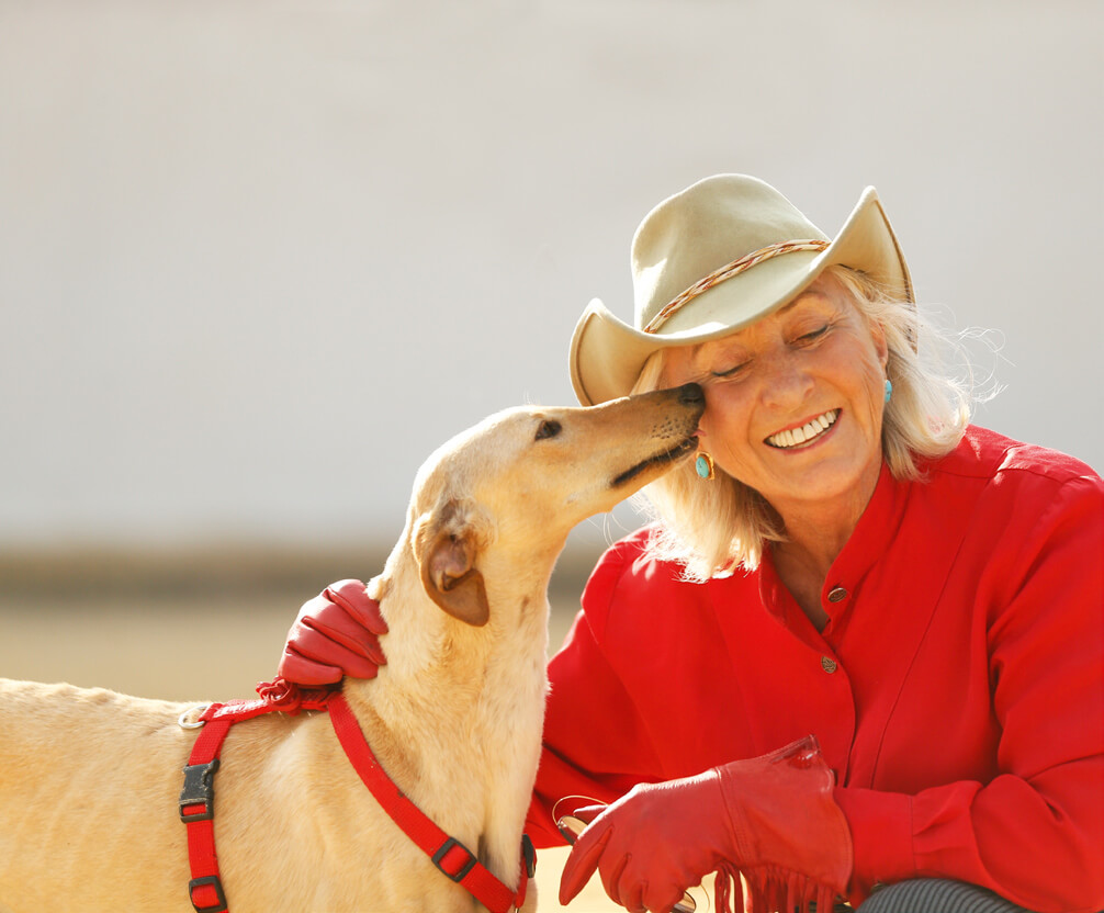 Linda Tellington-Jones zu Neuerscheinung: "Emotionen bei Hunden sehen lernen"