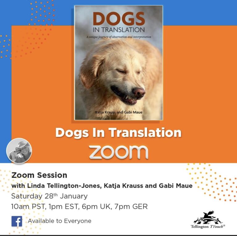 "dogs in translation": Linda Tellington-Jones live im Gespräch mit den Autorinnen Katja Krauß und Gabi Maue 28.01. 19 Uhr