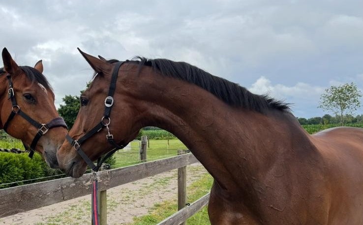 Jo begrüßt eine Freundin