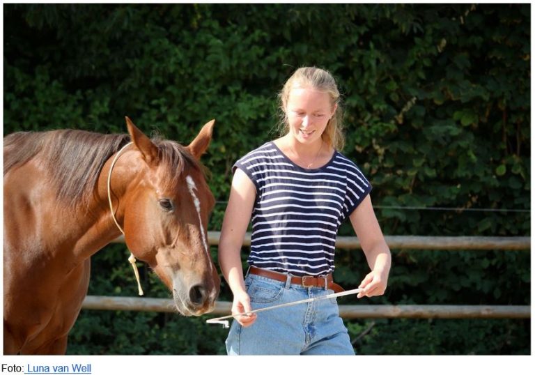 einfach mit dem Zauberstab führen