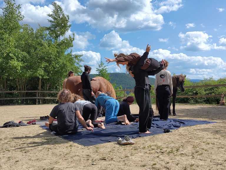 Contact-Improvisations-Tänzer*innen