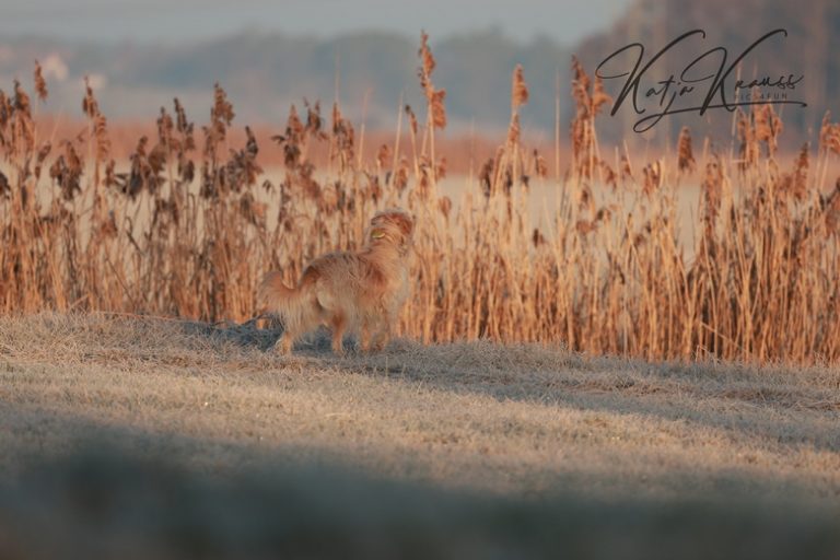 Yara schaut in die Ferne